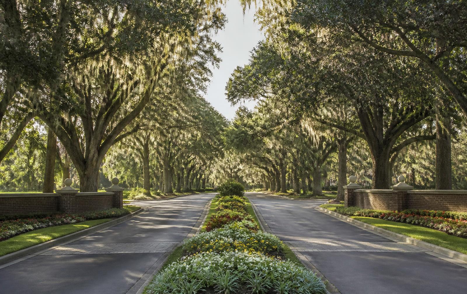 The tree-lined divided entrance boulevard into an established Southern golf community